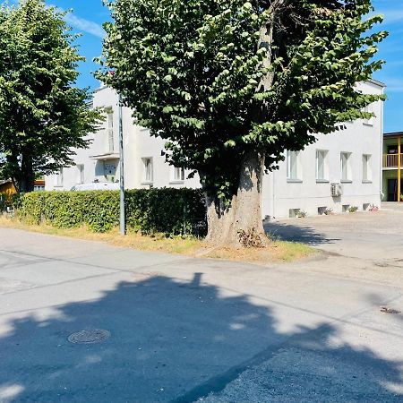 הפסלאו Endla Hostel Ja Apartamendid מראה חיצוני תמונה